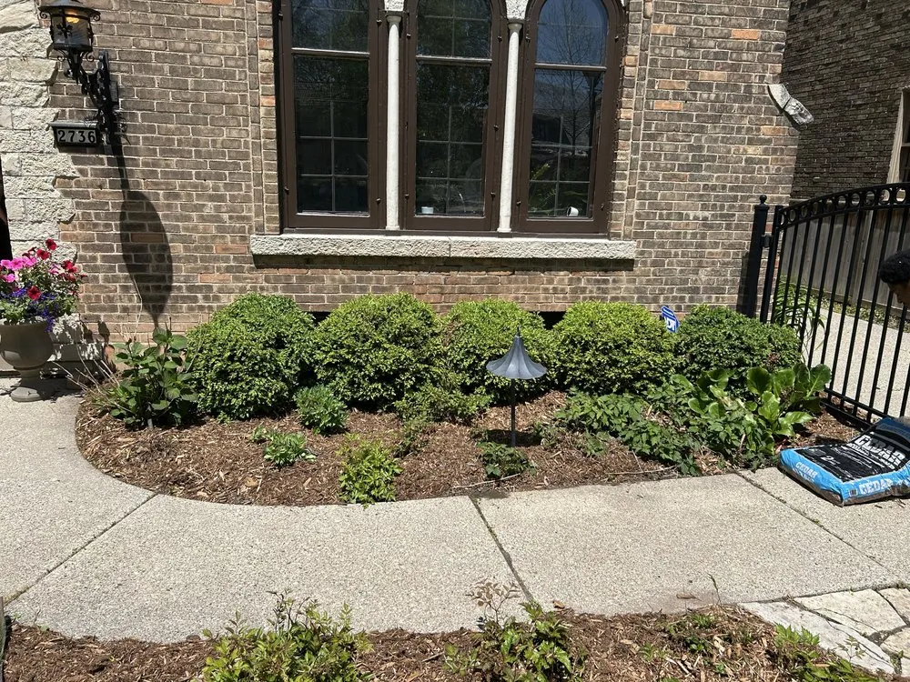 Reliable yard cleanup service for beautiful yards across Milwaukee, WI - Lakeside Lawn Services & Snow Removal