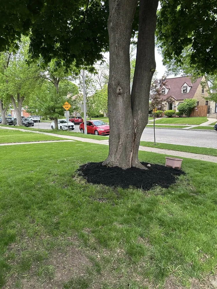 Custom landscape installation in Milwaukee, WI - Lakeside Lawn Services & Snow Removal