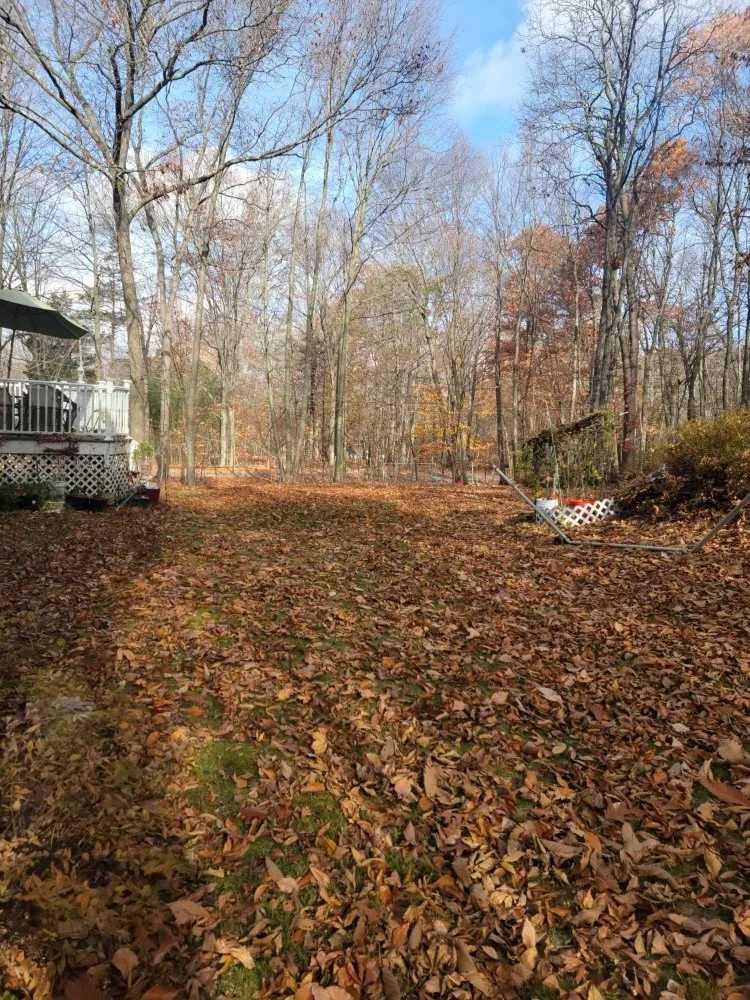 Affordable residential landscaping in New Windsor, NY - Lakeside Lawn Services