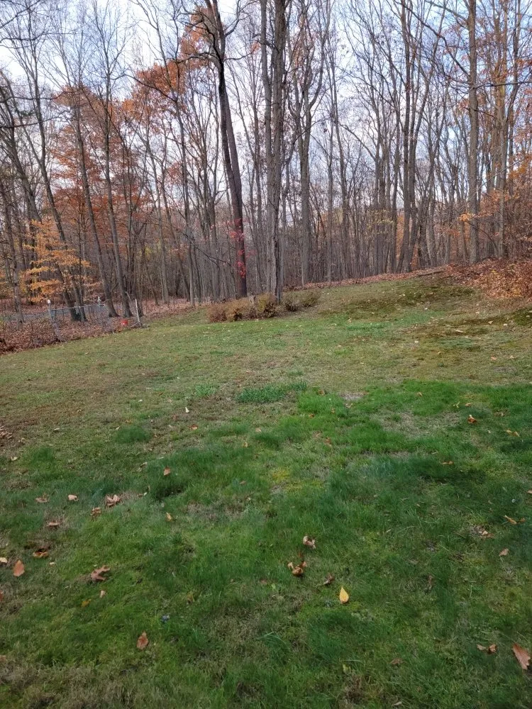 Professional residential landscaping with custom design across New Windsor, NY - Lakeside Lawn Services