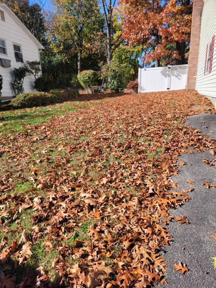 Trusted landscaping services experts serving New Windsor, NY - Lakeside Lawn Services