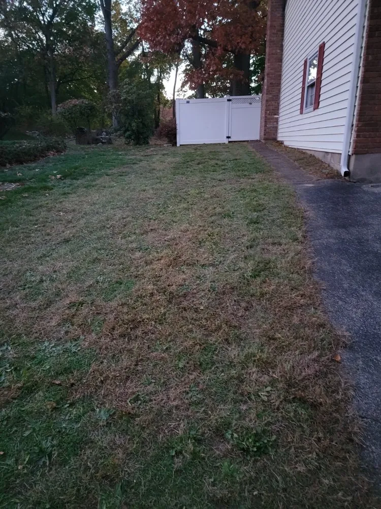 Trusted yard maintenance in New Windsor, NY - Lakeside Lawn Services