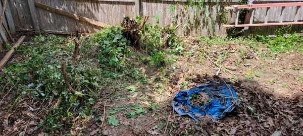 Lakeside Lawn Services Logo