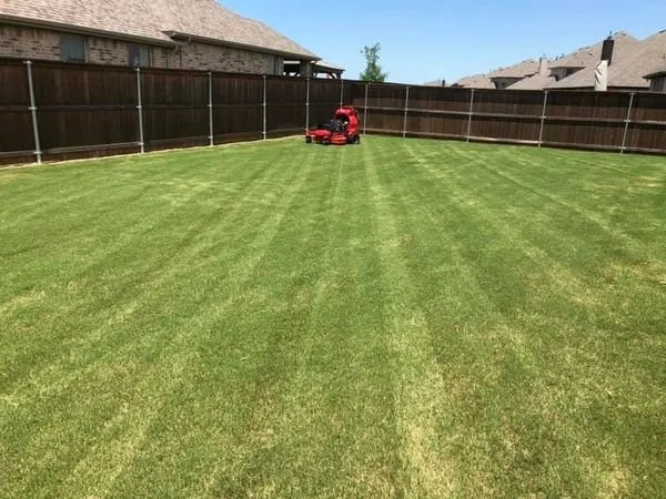 Top-rated yard maintenance experts serving Sherman, TX - Lakeside Lawncare & Landscape