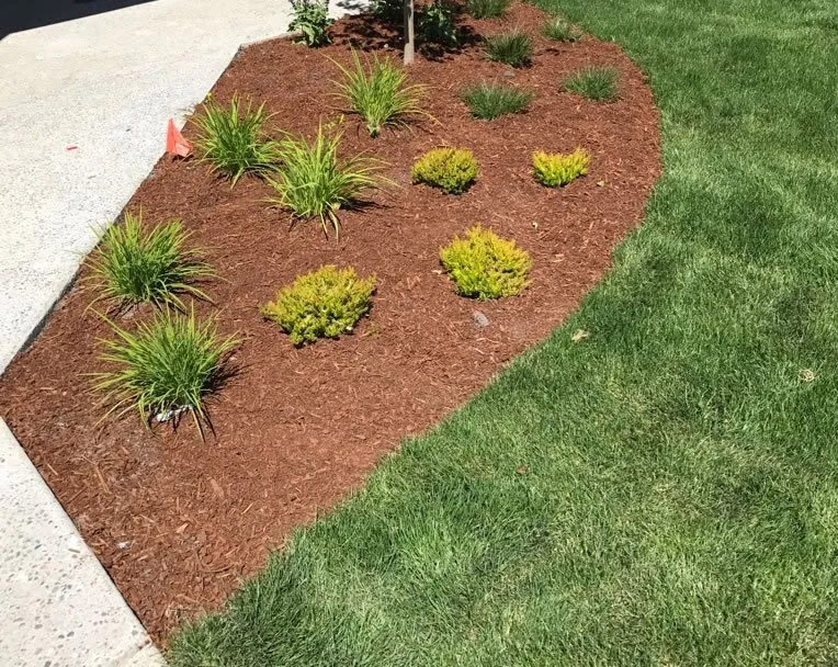 Top-rated lawn care service for beautiful yards in Yorktown, VA by Lakeside Lawns And Landscaping