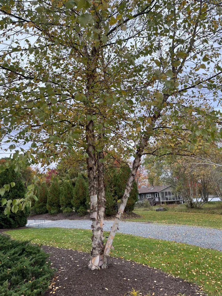 Local landscape installation in Tobyhanna Township, PA - Lakeside Oasis Landscaping