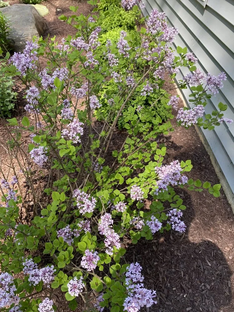 Local landscaping services in Tobyhanna Township, PA by Lakeside Oasis Landscaping