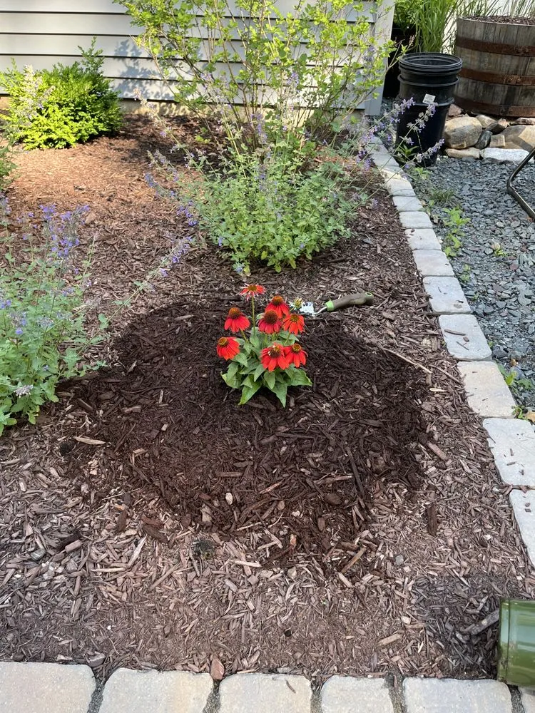 Reliable residential landscaping in Tobyhanna Township, PA - Lakeside Oasis Landscaping