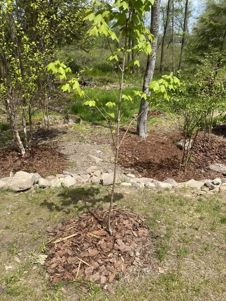 Reliable lawn care service with custom design in Tobyhanna Township, PA by Lakeside Oasis Landscaping