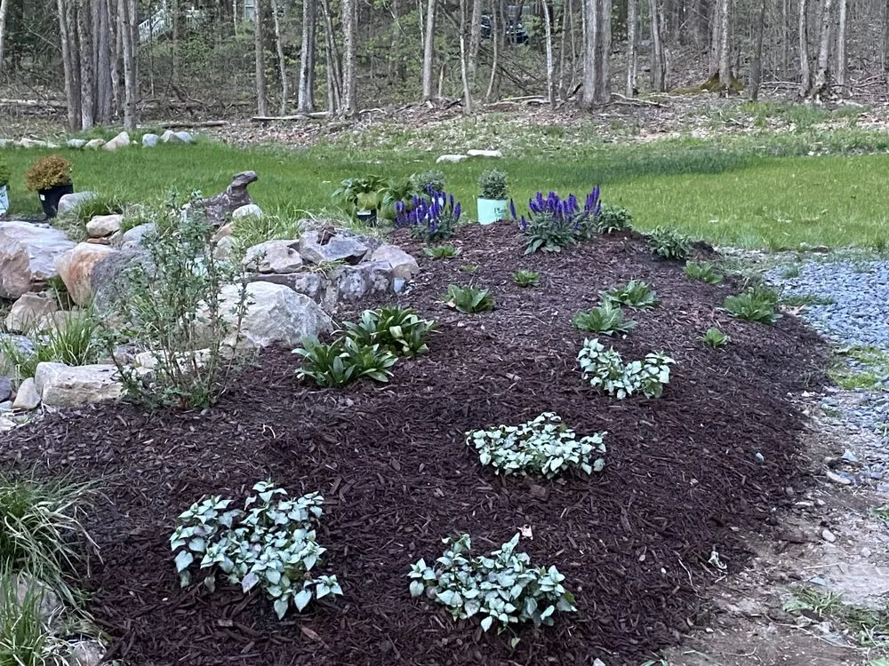 Professional residential landscaping in Tobyhanna Township, PA by Lakeside Oasis Landscaping