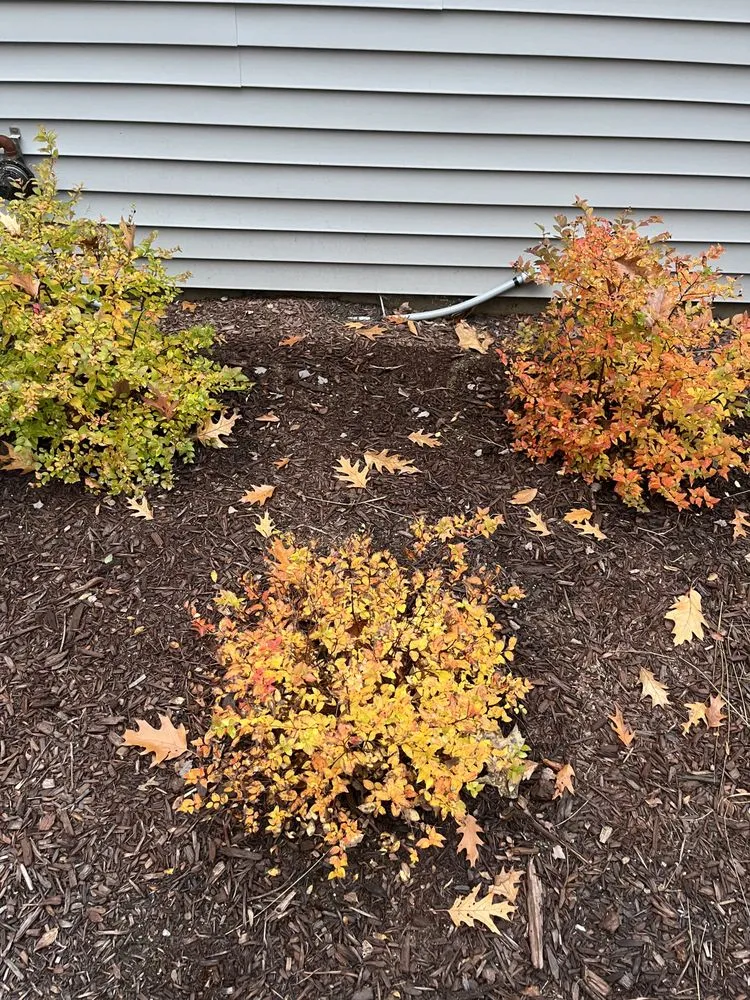Local yard maintenance for beautiful yards across Tobyhanna Township, PA - Lakeside Oasis Landscaping