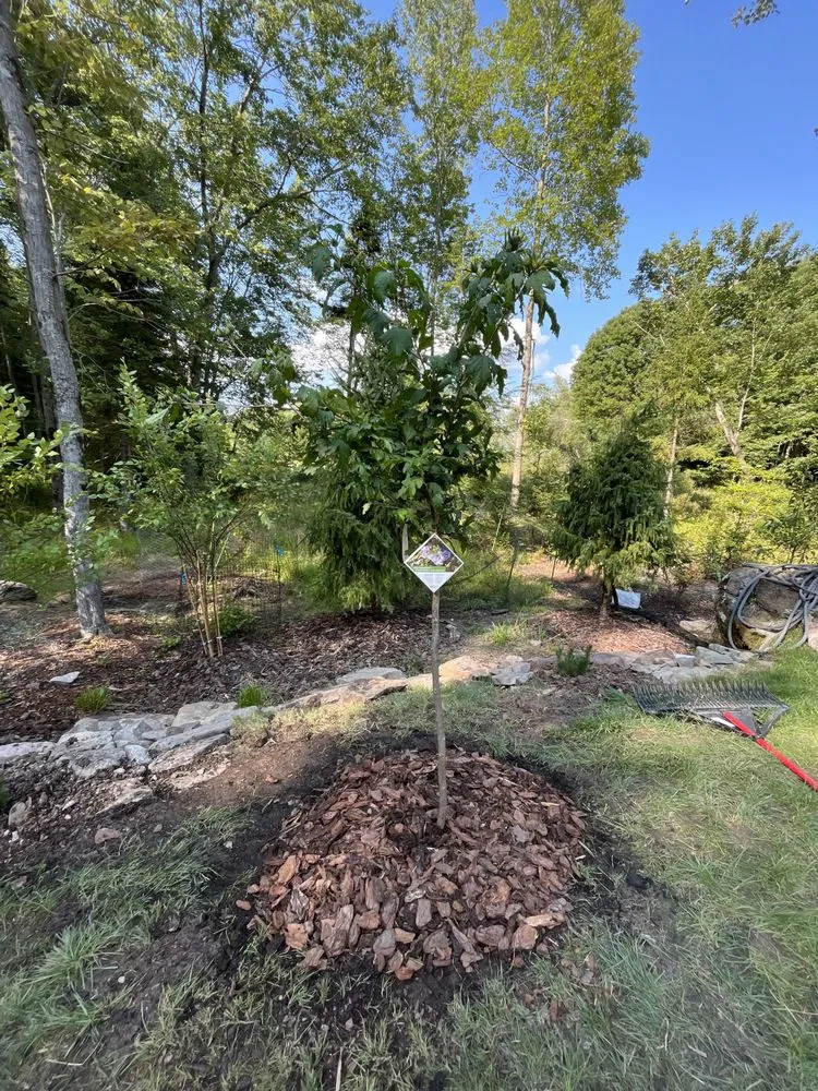 Professional lawn care service with custom design in Tobyhanna Township, PA by Lakeside Oasis Landscaping