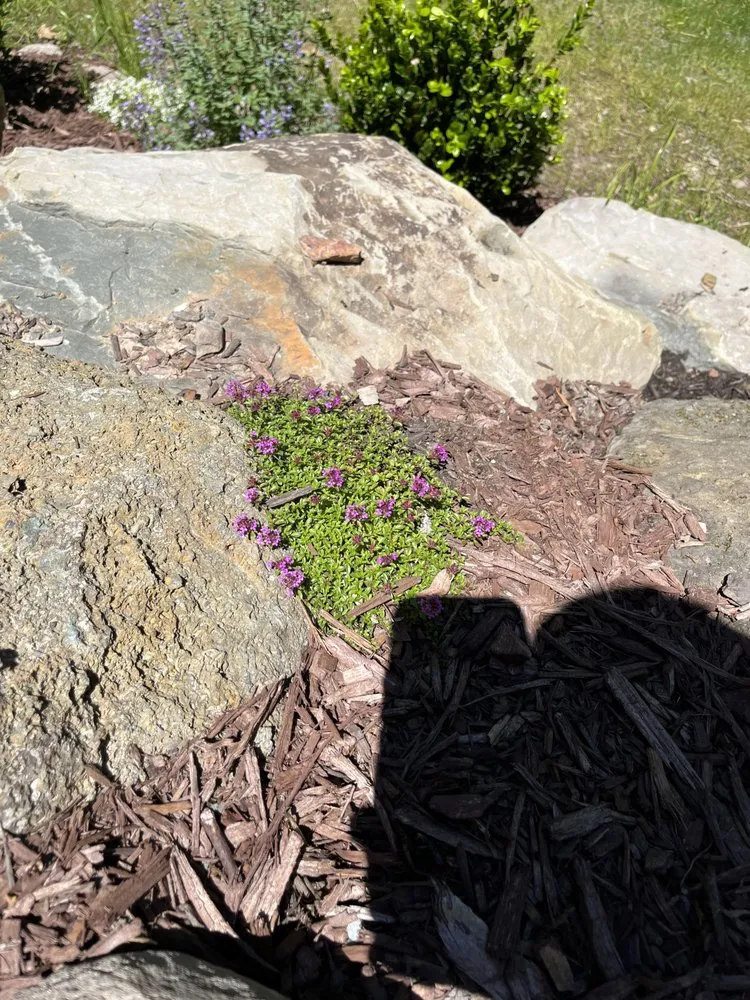 Trusted garden landscaping for homes in Tobyhanna Township, PA by Lakeside Oasis Landscaping