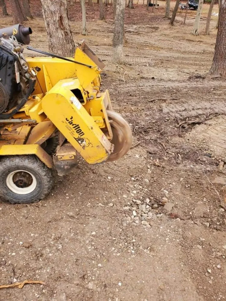 Expert yard cleanup service for outdoor upgrades in Manassas, VA by Lakeside Tree And Landscape