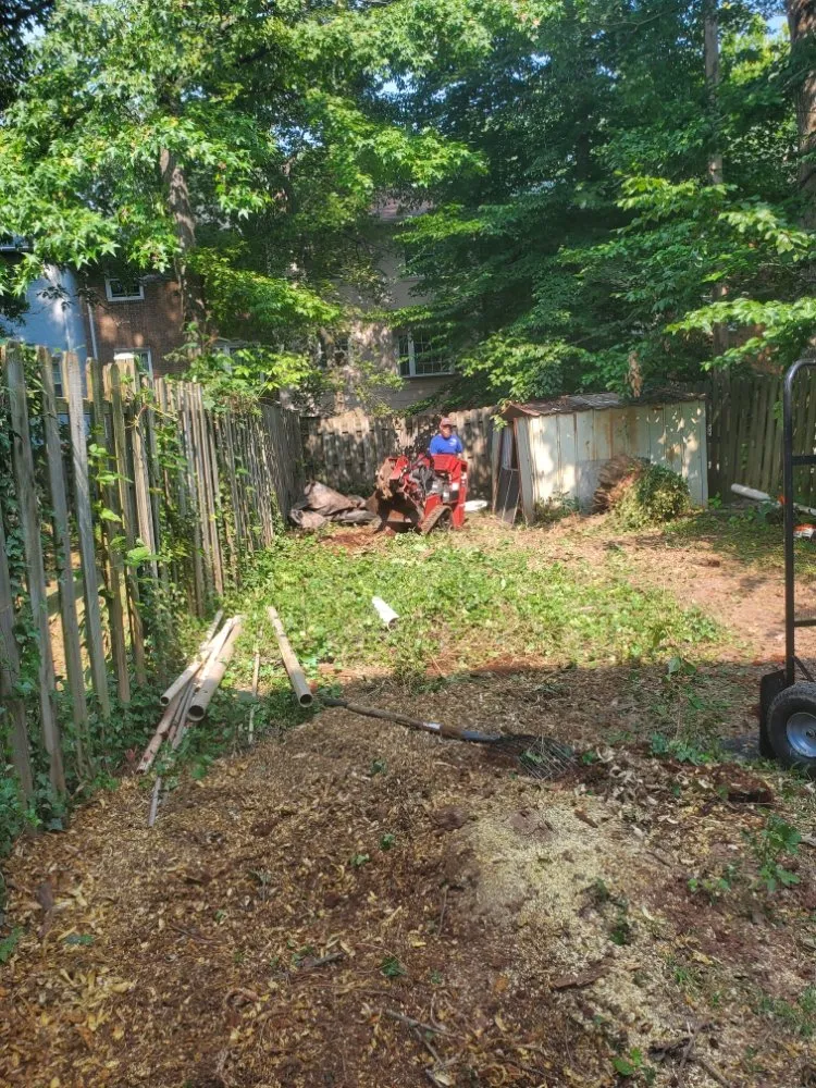 Local lawn mowing service for year-round maintenance in Manassas, VA by Lakeside Tree And Landscape