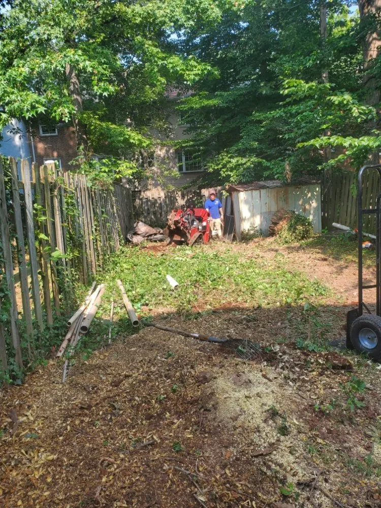 Custom landscaping services in Manassas, VA - Lakeside Tree And Landscape