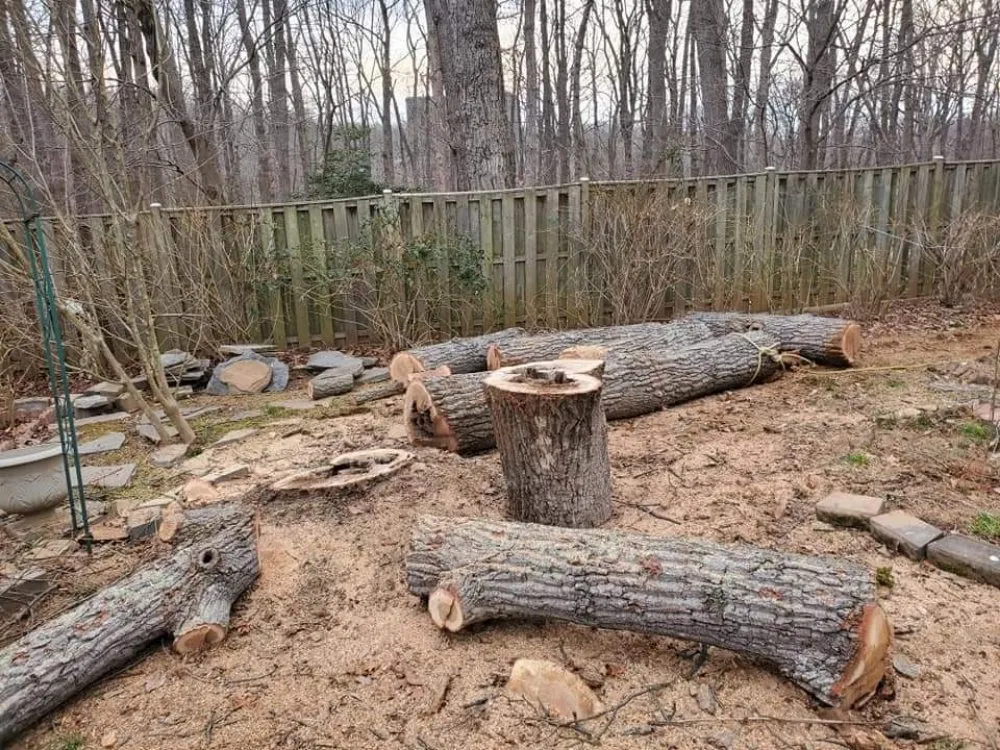 Professional lawn mowing service experts serving Manassas, VA - Lakeside Tree And Landscape