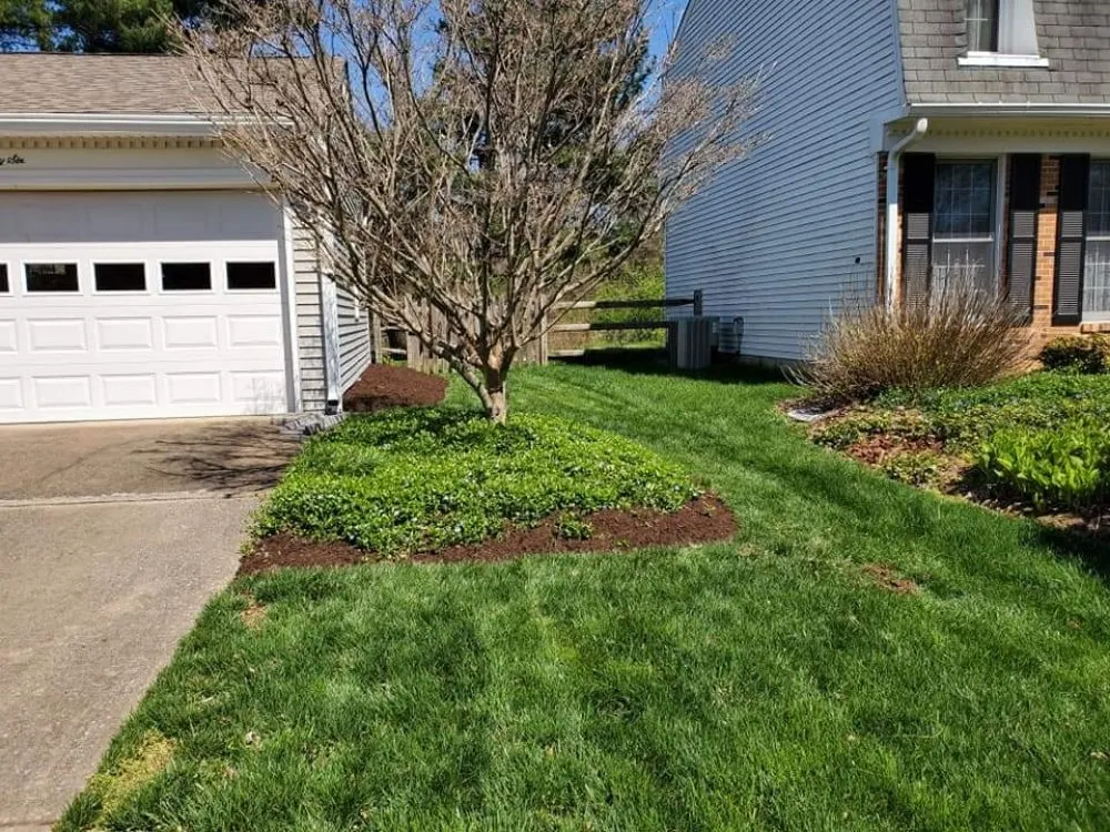 Top-rated lawn care service for homes in Manassas, VA by Lakeside Tree And Landscape
