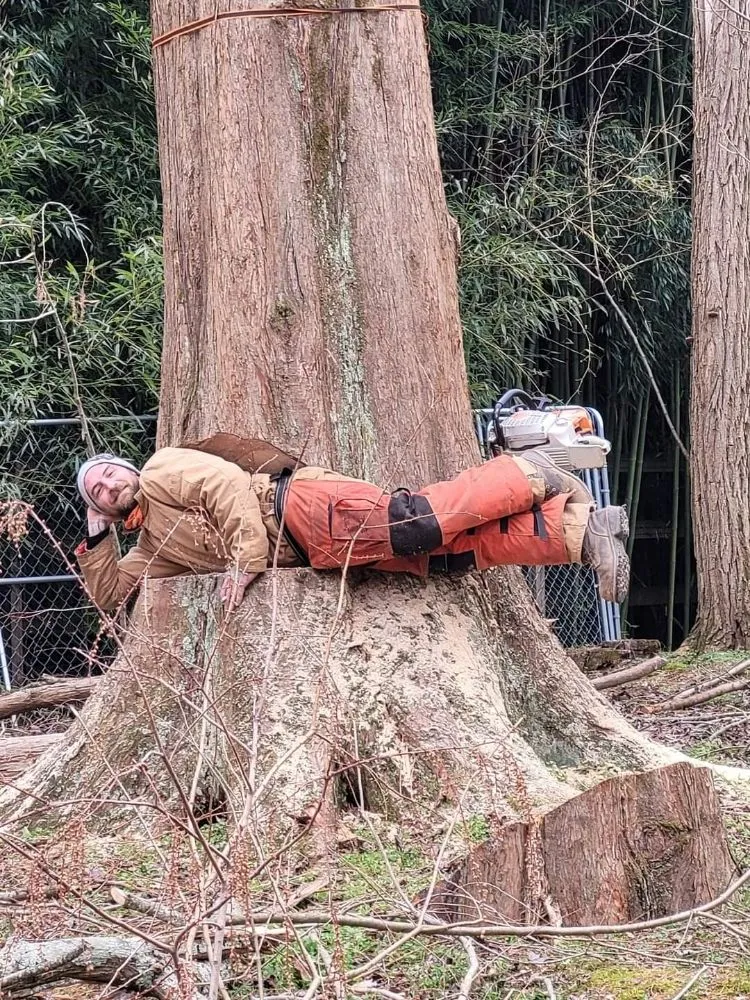 Trusted garden landscaping experts serving Manassas, VA - Lakeside Tree And Landscape