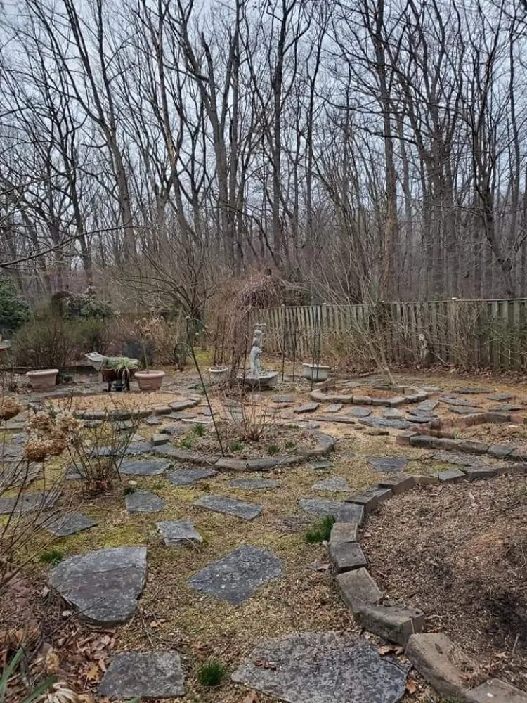 Expert yard maintenance in Manassas, VA - Lakeside Tree And Landscape