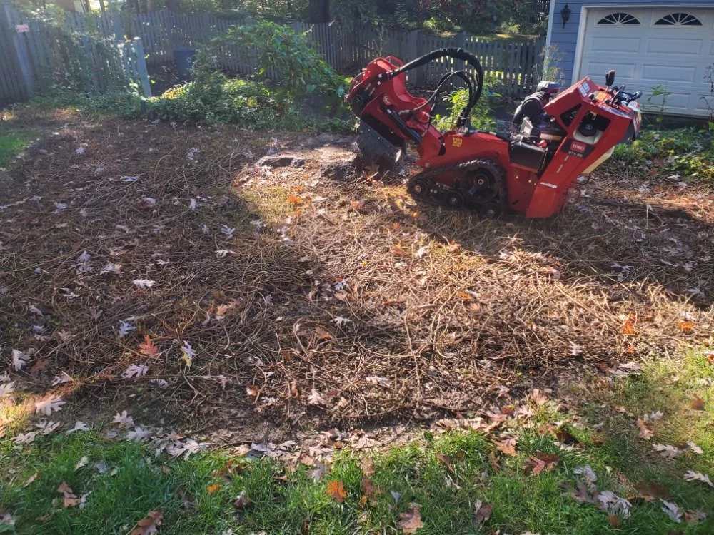 Top-rated landscaping services experts serving Manassas, VA - Lakeside Tree And Landscape