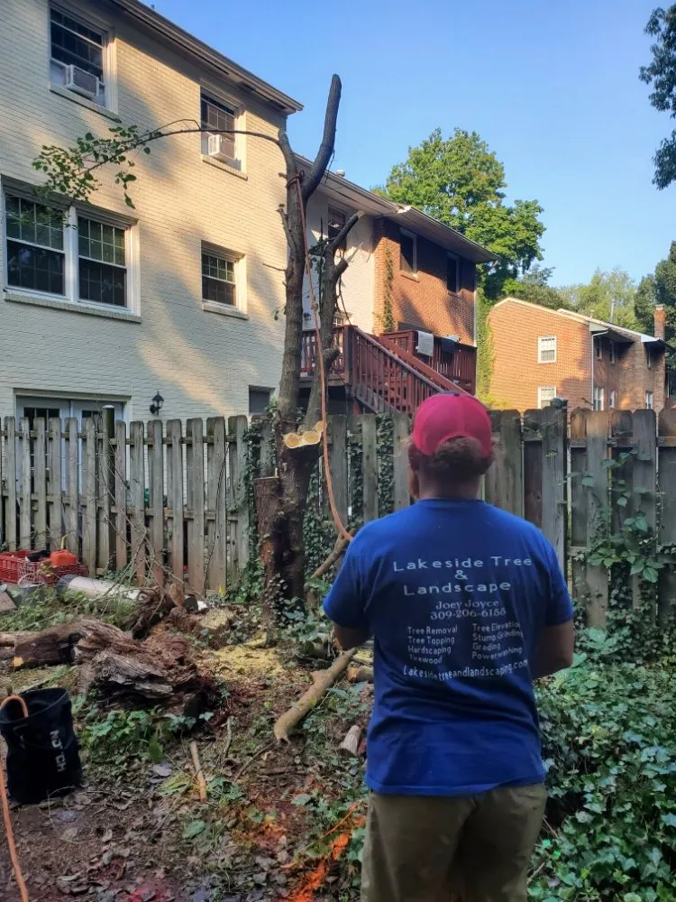 Affordable yard maintenance in Manassas, VA by Lakeside Tree And Landscape