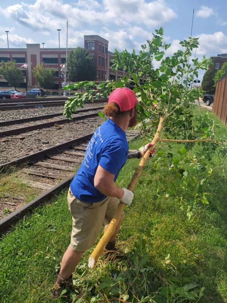Expert lawn care service in Manassas, VA - Lakeside Tree And Landscape