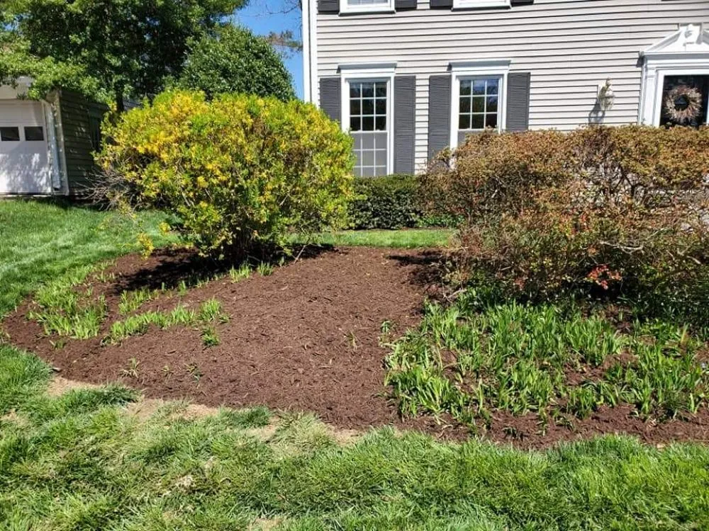 Expert yard maintenance in Manassas, VA by Lakeside Tree And Landscape
