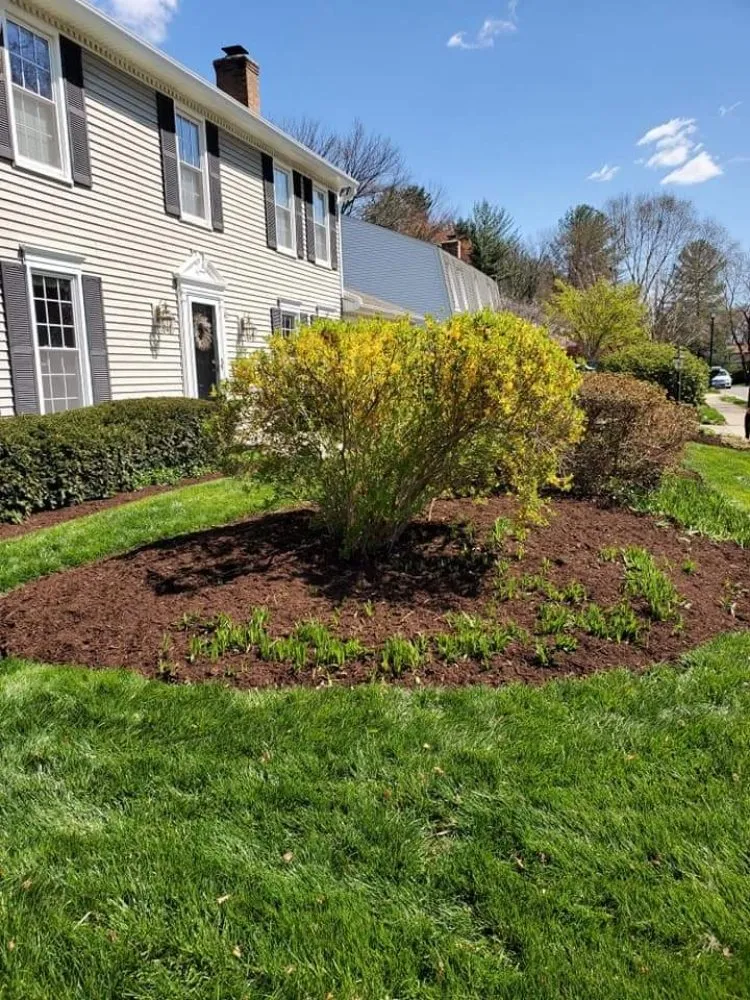 Affordable landscape installation for homes across Manassas, VA - Lakeside Tree And Landscape