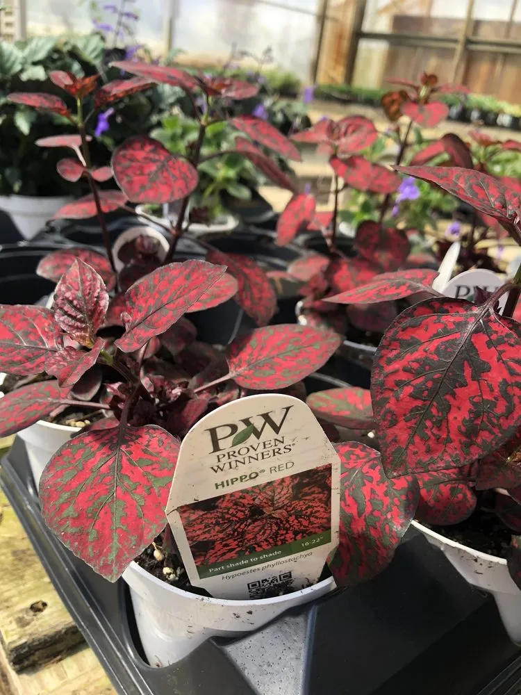 Trusted outdoor landscaping near you across Fairfield, OH - Lakeview Garden Center & Landscaping