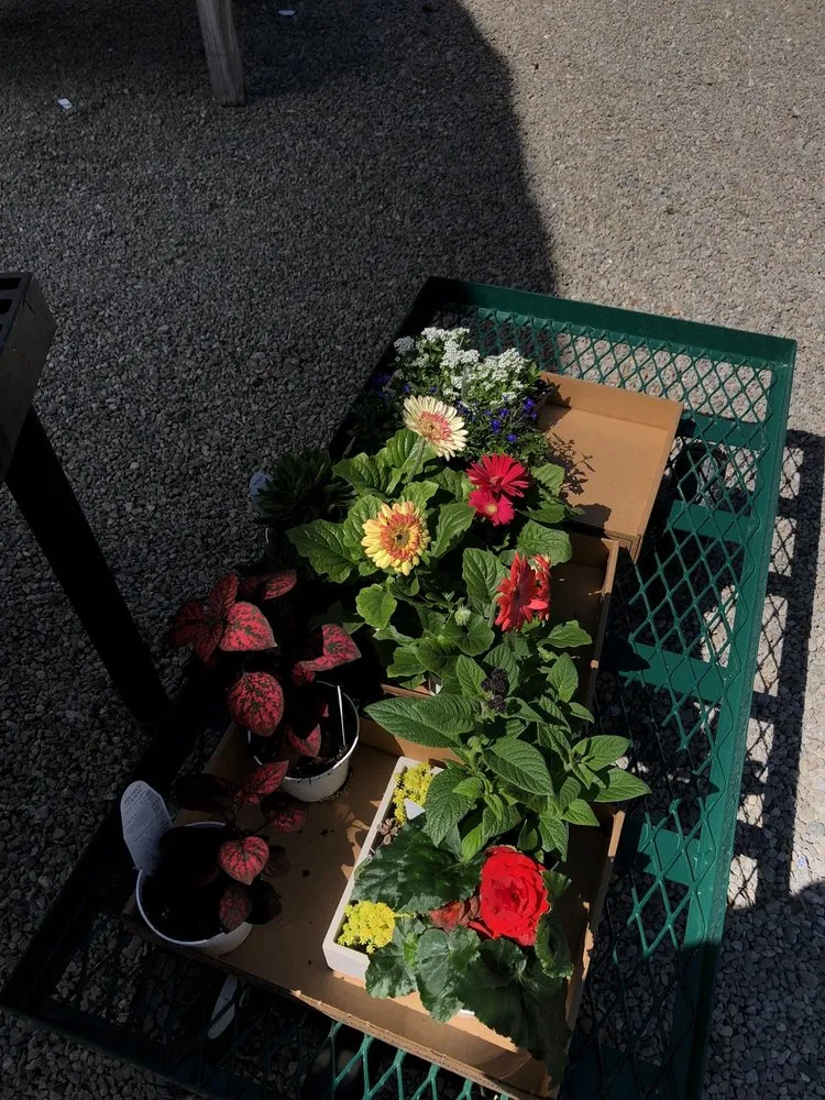 Trusted residential landscaping experts serving Fairfield, OH - Lakeview Garden Center & Landscaping