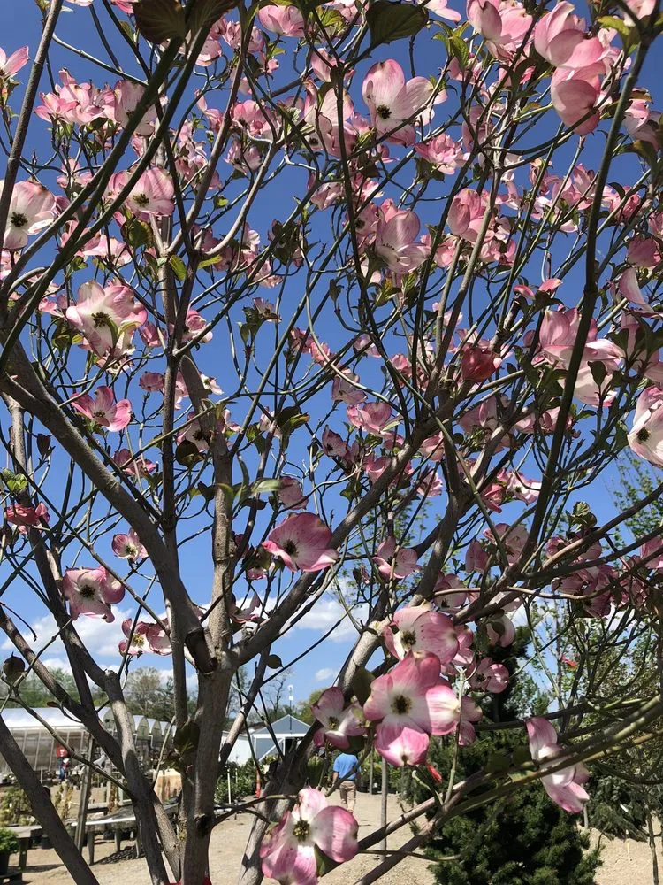 Affordable landscape design experts serving Fairfield, OH - Lakeview Garden Center & Landscaping