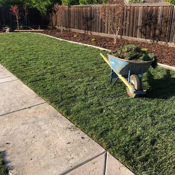 Top-rated yard cleanup service experts serving Inman, SC - Lakeview Hardscape