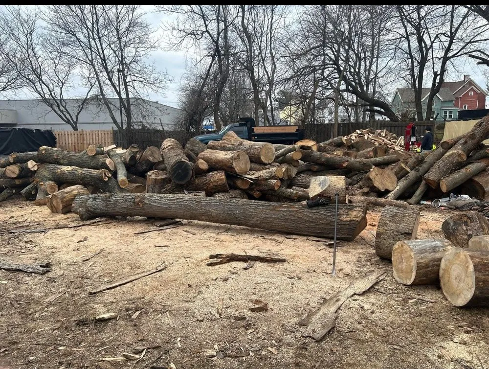 Affordable yard cleanup service experts serving New Haven, CT - Lakeview Landscape & Tree Removal
