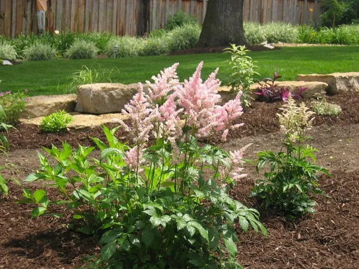 Expert yard cleanup service experts serving Lombard, IL - Lakeview Landscape Solutions