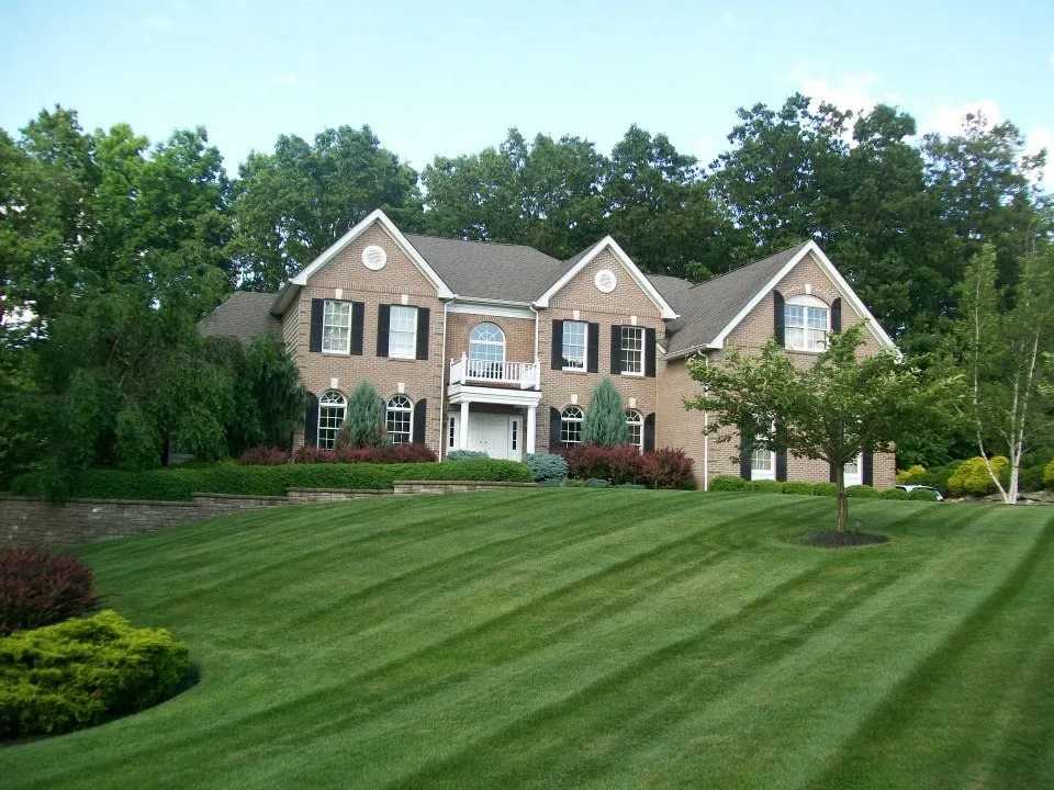 Affordable yard cleanup service in Sparta Township, NJ by Lakeview Landscapes