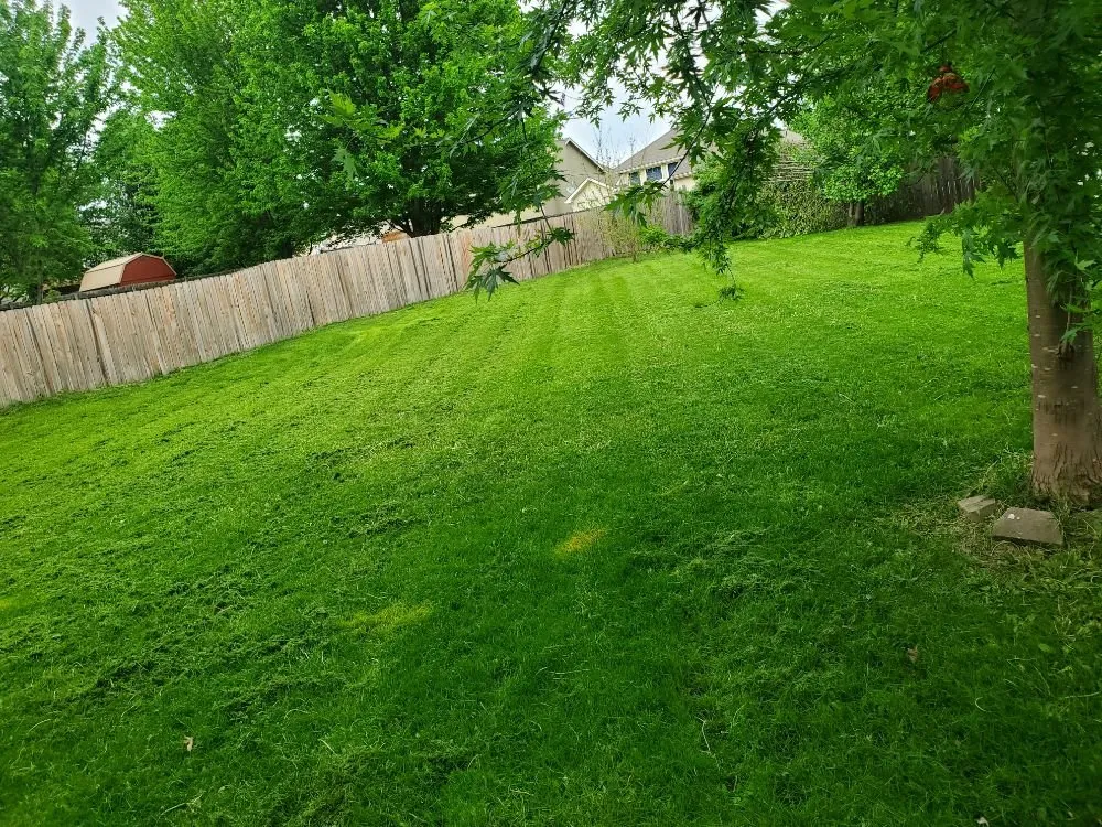 Expert yard cleanup service in Sugar Creek, MO by Lakeview Lawn & Landscape