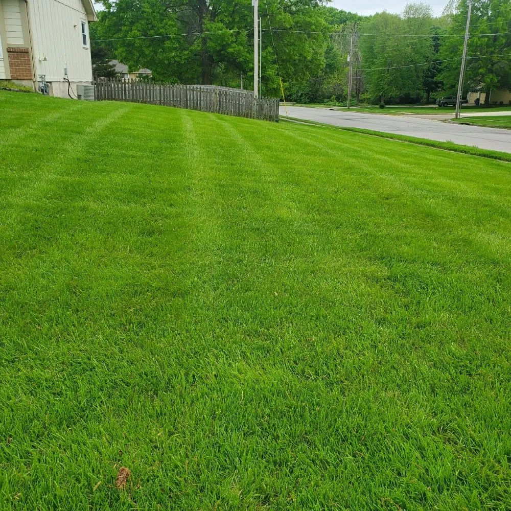 Affordable residential landscaping in Sugar Creek, MO - Lakeview Lawn & Landscape