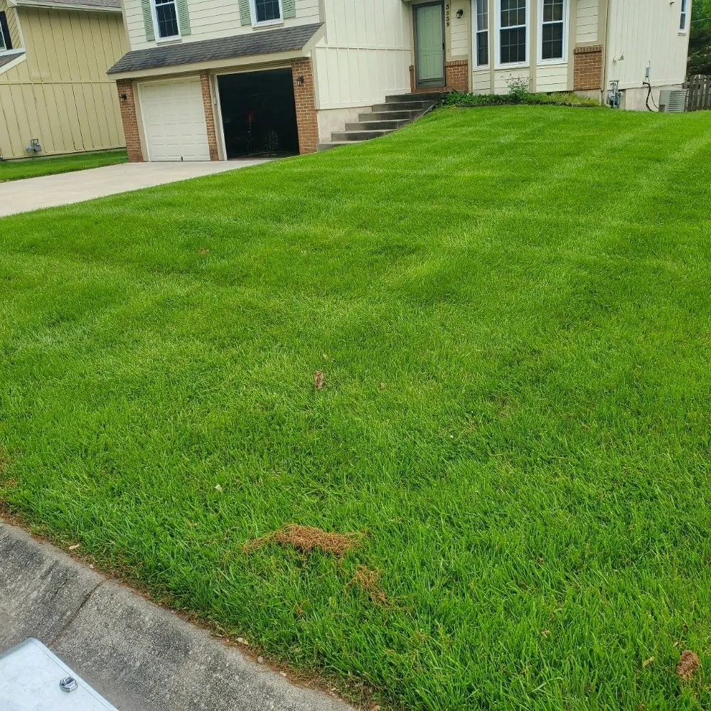 Reliable landscape design for residential properties across Sugar Creek, MO - Lakeview Lawn & Landscape