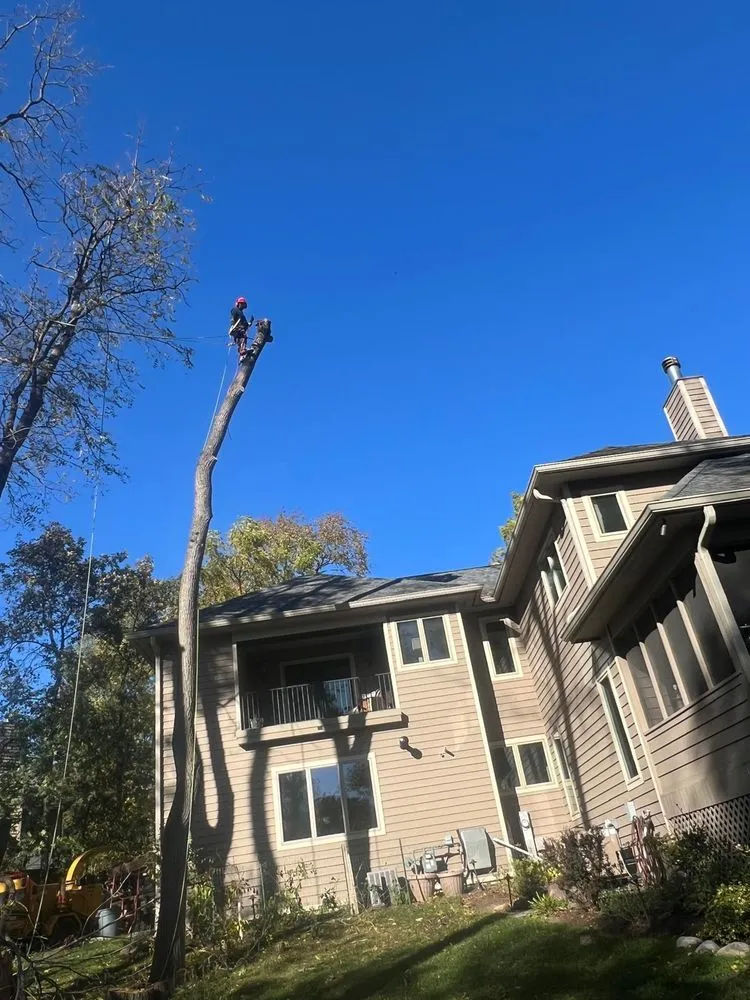 Trusted lawn mowing service experts serving Genoa City, WI - Lakeview Lawncare & Projects