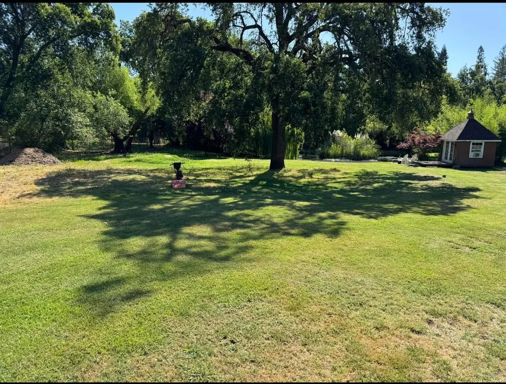 Professional landscaping services in Canyon Lake, TX - LakeView Oasis Landscaping