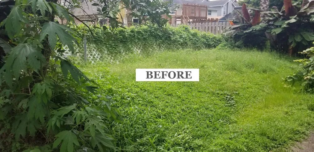 Expert yard maintenance experts serving New Orleans, LA - Lakeview Weed Whackers