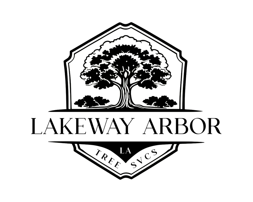 Affordable yard maintenance with custom design across Horseshoe Bay, TX - Lakeway Arbor