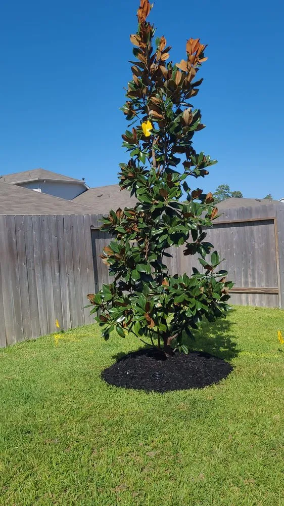 Custom landscape design in The Woodlands, TX - Lakeway Landscaping