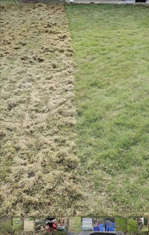 Custom garden landscaping for beautiful yards in Lakewood, WA by Lakewood Landscaping