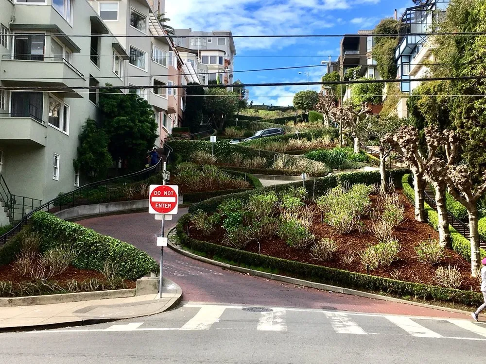 Reliable lawn care service for year-round maintenance across San Francisco, CA - Lakian Landscape and Design