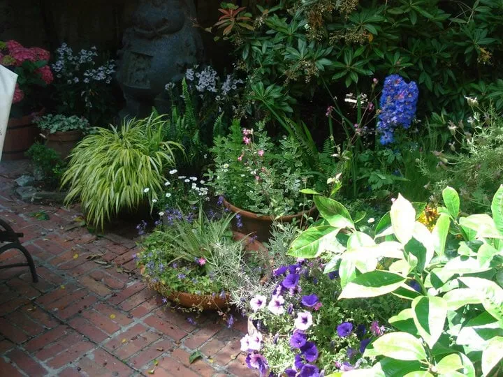 Trusted lawn care service experts serving San Francisco, CA - Lakian Landscape and Design