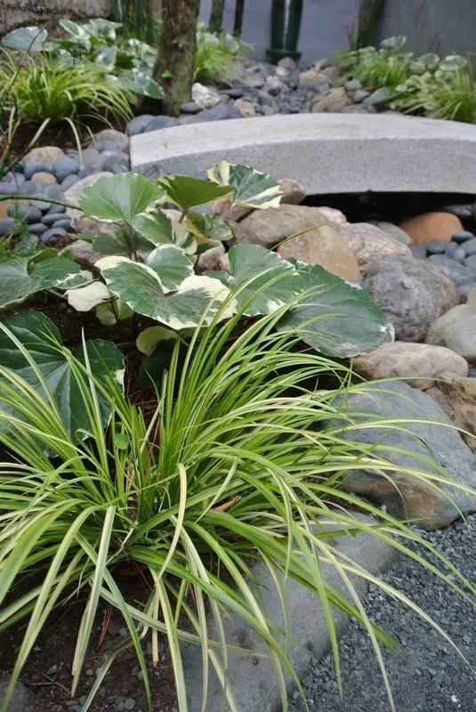 Trusted outdoor landscaping experts serving San Francisco, CA - Lakian Landscape and Design