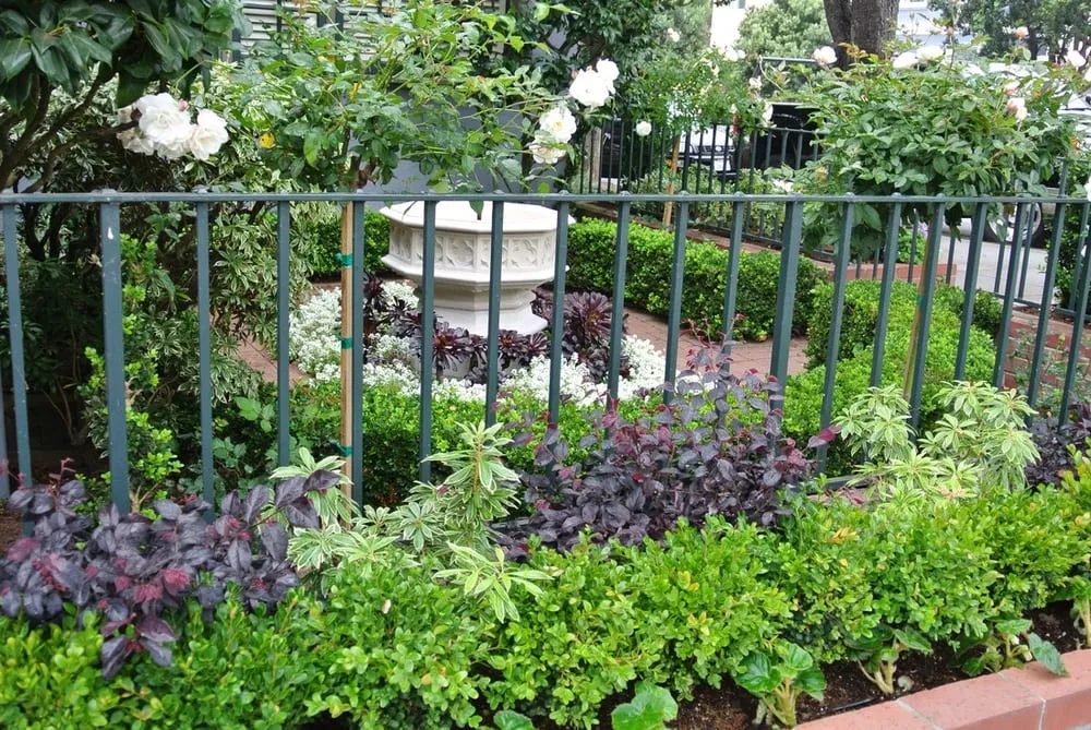 Top-rated landscaping services for beautiful yards across San Francisco, CA - Lakian Landscape and Design