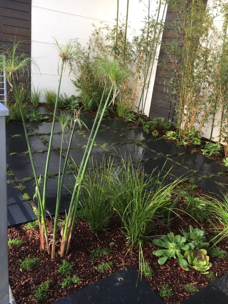 Custom yard maintenance in San Francisco, CA by Lakian Landscape and Design